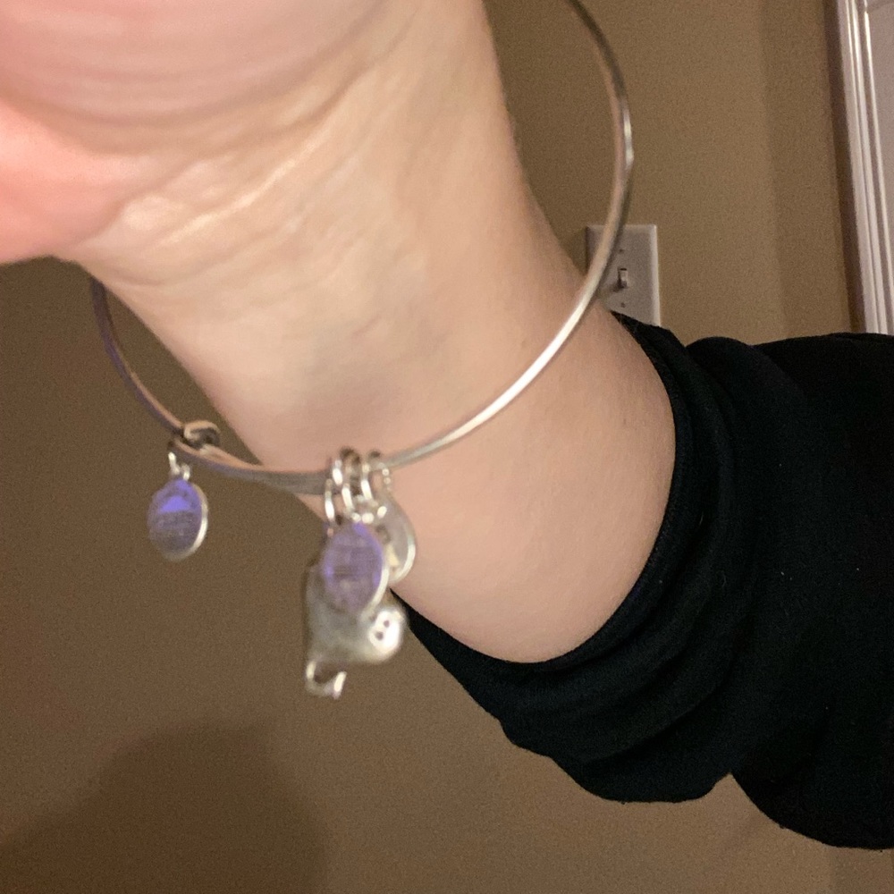 Alex & Ani bracelet